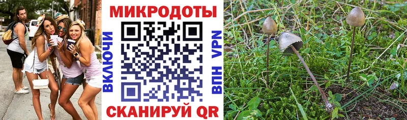 Псилоцибиновые грибы мицелий  купить   Нязепетровск 